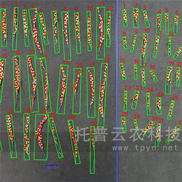 ˮ뿼Nx