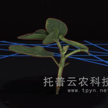 ֲS(sh)ֱͲɼϵy(tng)