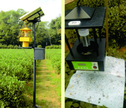 茶園專用殺蟲(chóng)燈