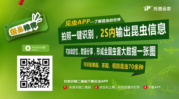 拿害蟲沒轍怕農殘過量？托普云農這款APP讓你的手機變滅蟲好幫手