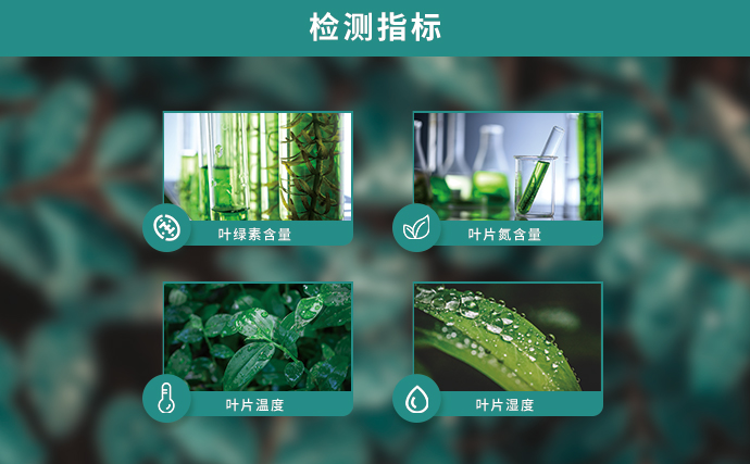 植物營養(yǎng)速測儀可檢測指標